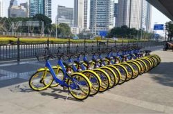 【10分钟科普下】河源市工厂工资待遇怎么样_哔哩哔哩-3